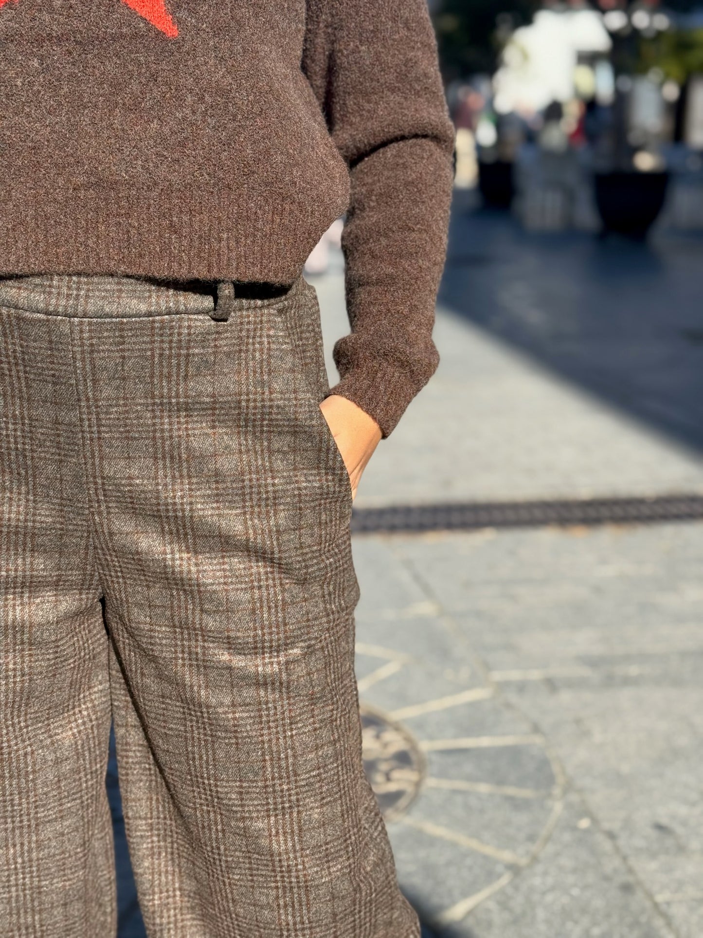 Pantalón Carrot Marrón