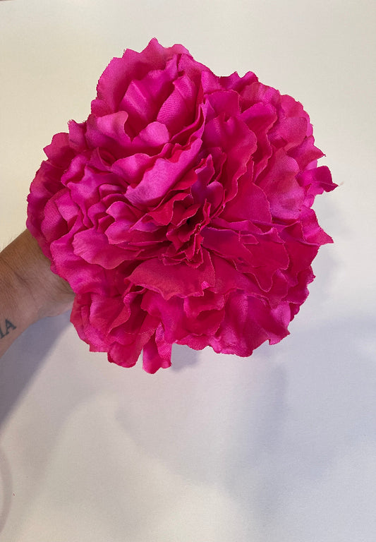 Peonia rosa fucsia