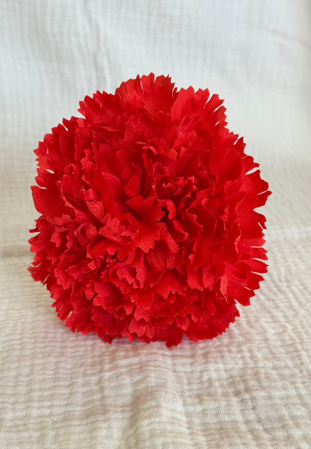 Clavel rojo