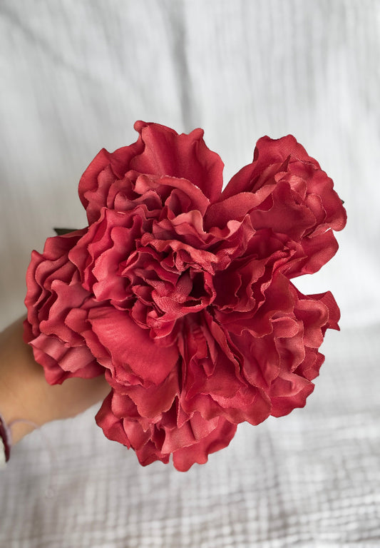 Peonia vino rosado