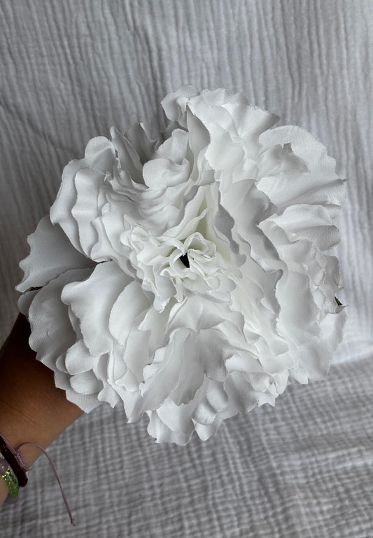 Peonia blanca