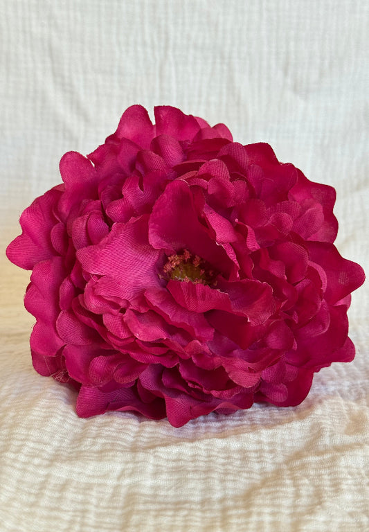 Peonia buganvilla