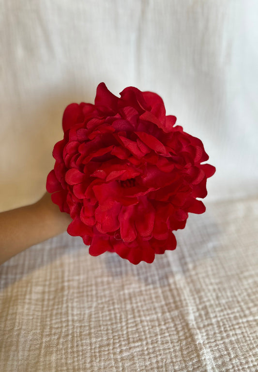 Peonia Reina Roja