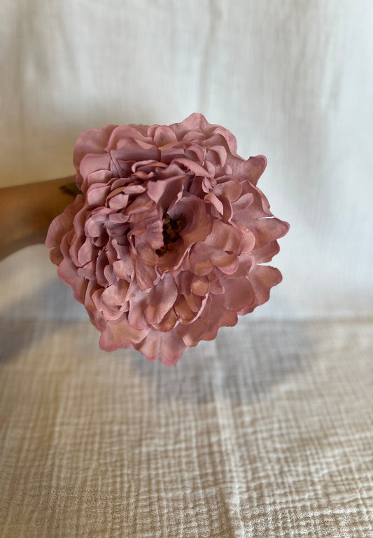 Peonia Reina Rosa Bebé