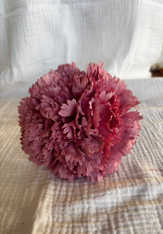 Clavel rosa bebé