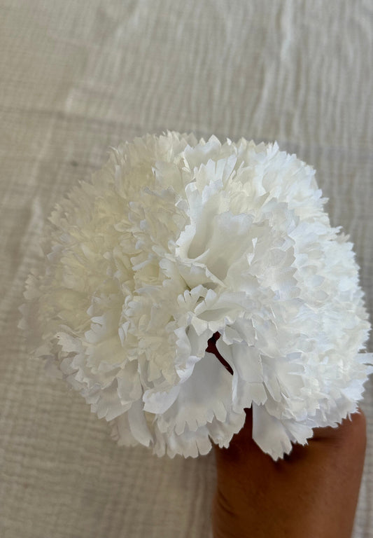 Clavel Blanco