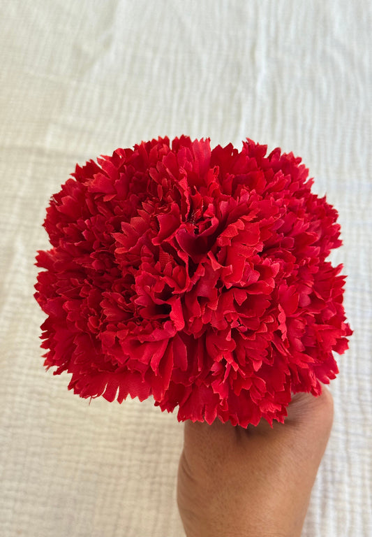 Clavel rojo