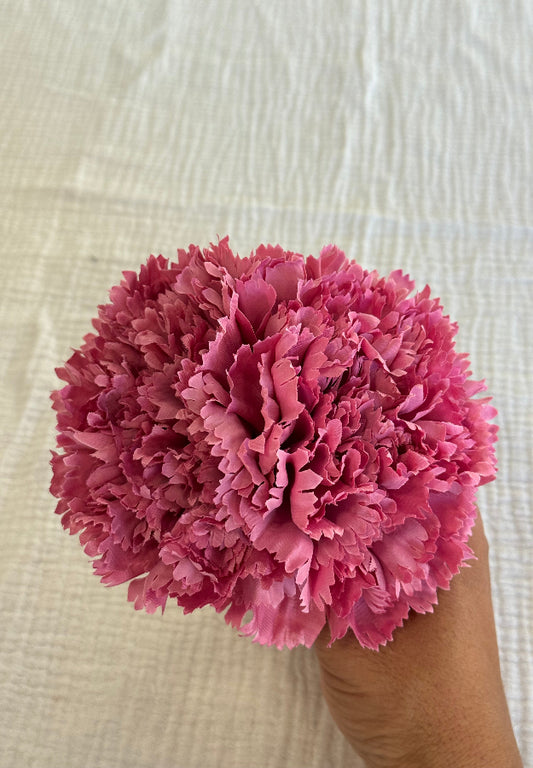 Clavel Rosa chicle