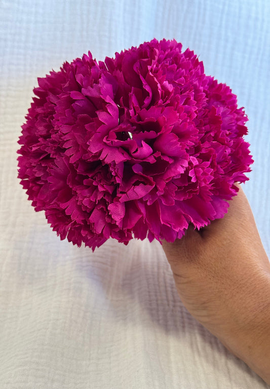 Clavel buganvilla
