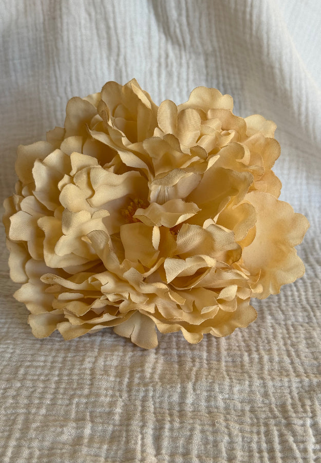 Peonia Sevilla beige