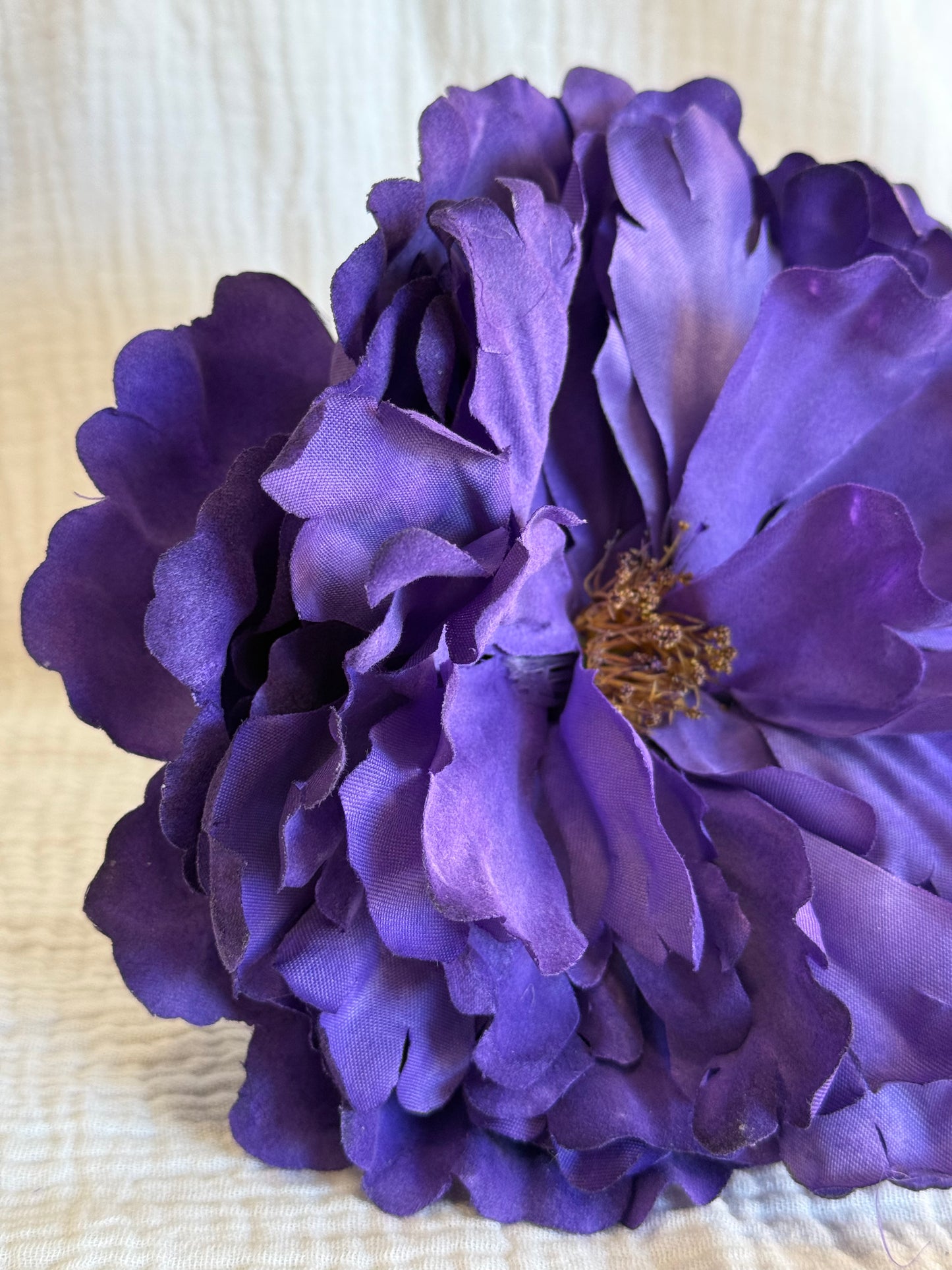 Peonia Sevilla morada