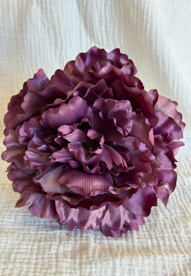 Peonia Sevilla malva
