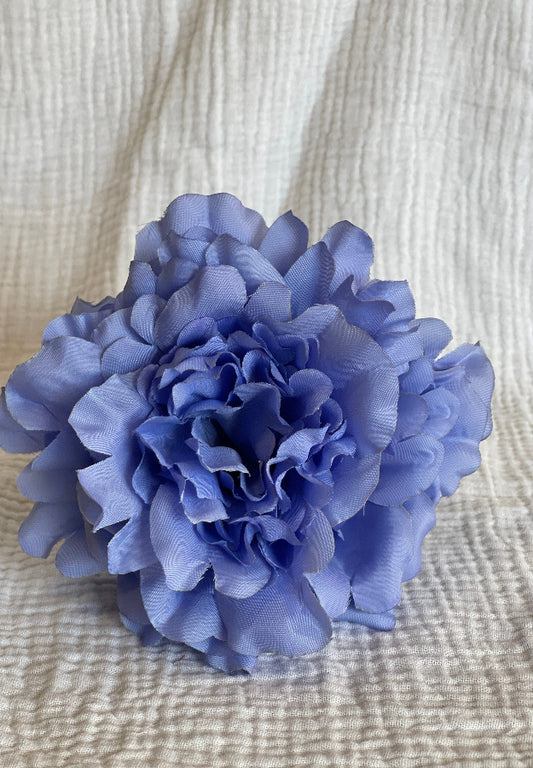 Rosa Cádiz celeste