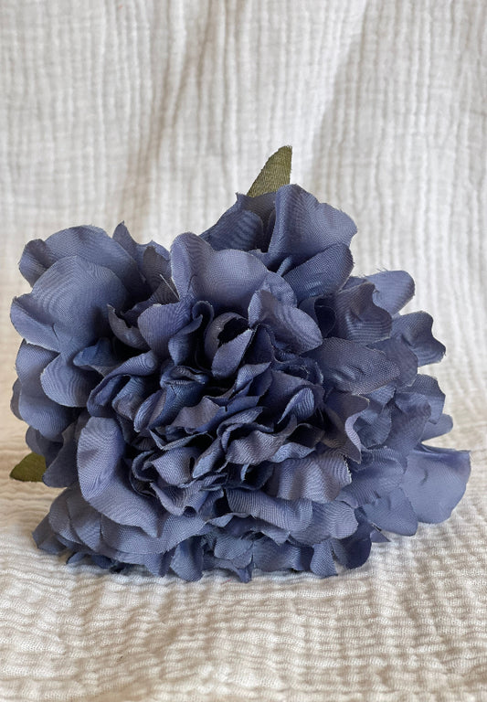 Rosa Cádiz azul vaquero