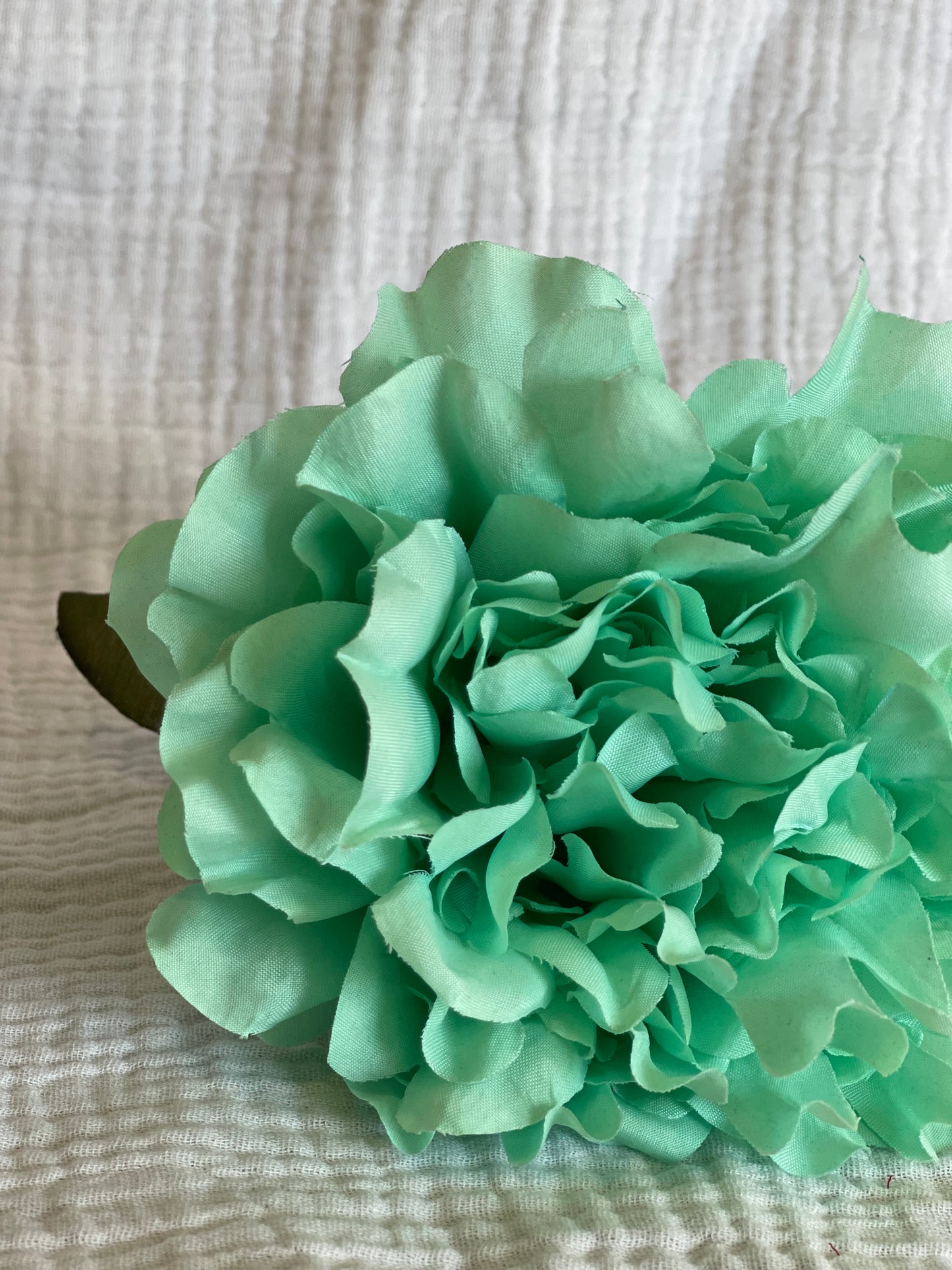 Rosa Cádiz verde manzana