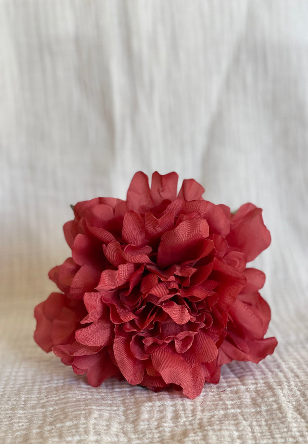 Rosa Cádiz vino rosado
