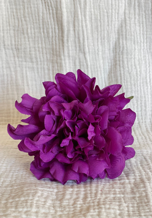 Rosa Cádiz morada