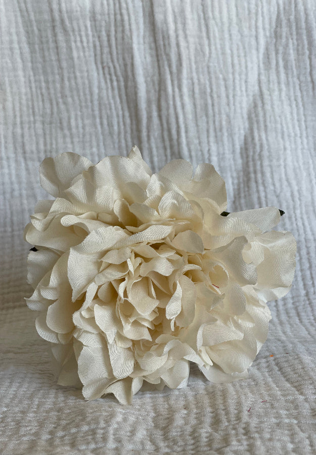 Rosa Cádiz beige