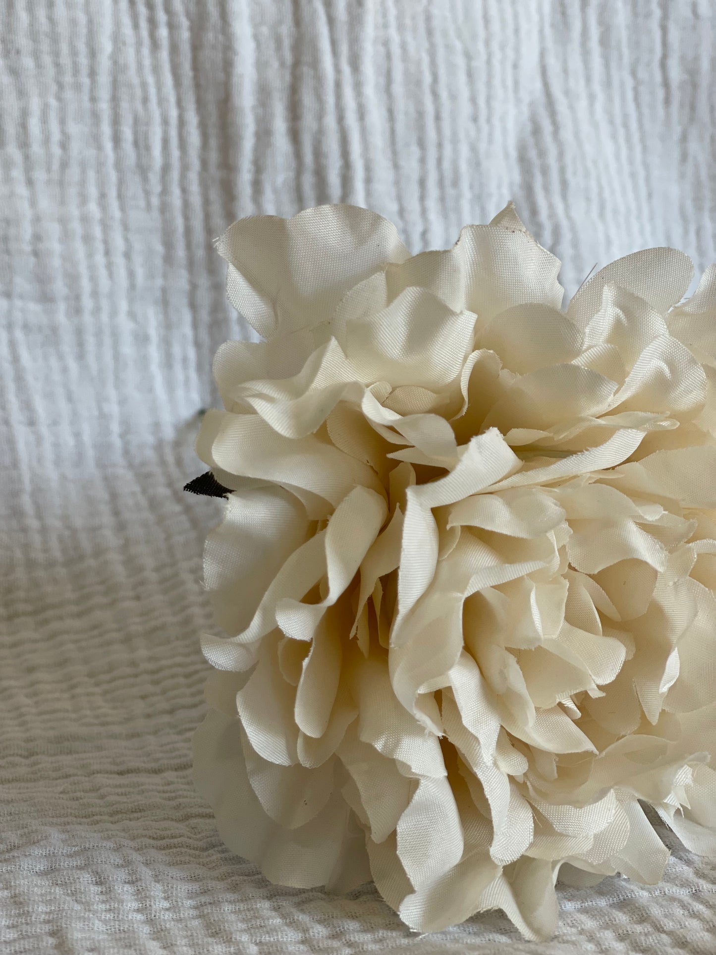 Rosa Cádiz beige
