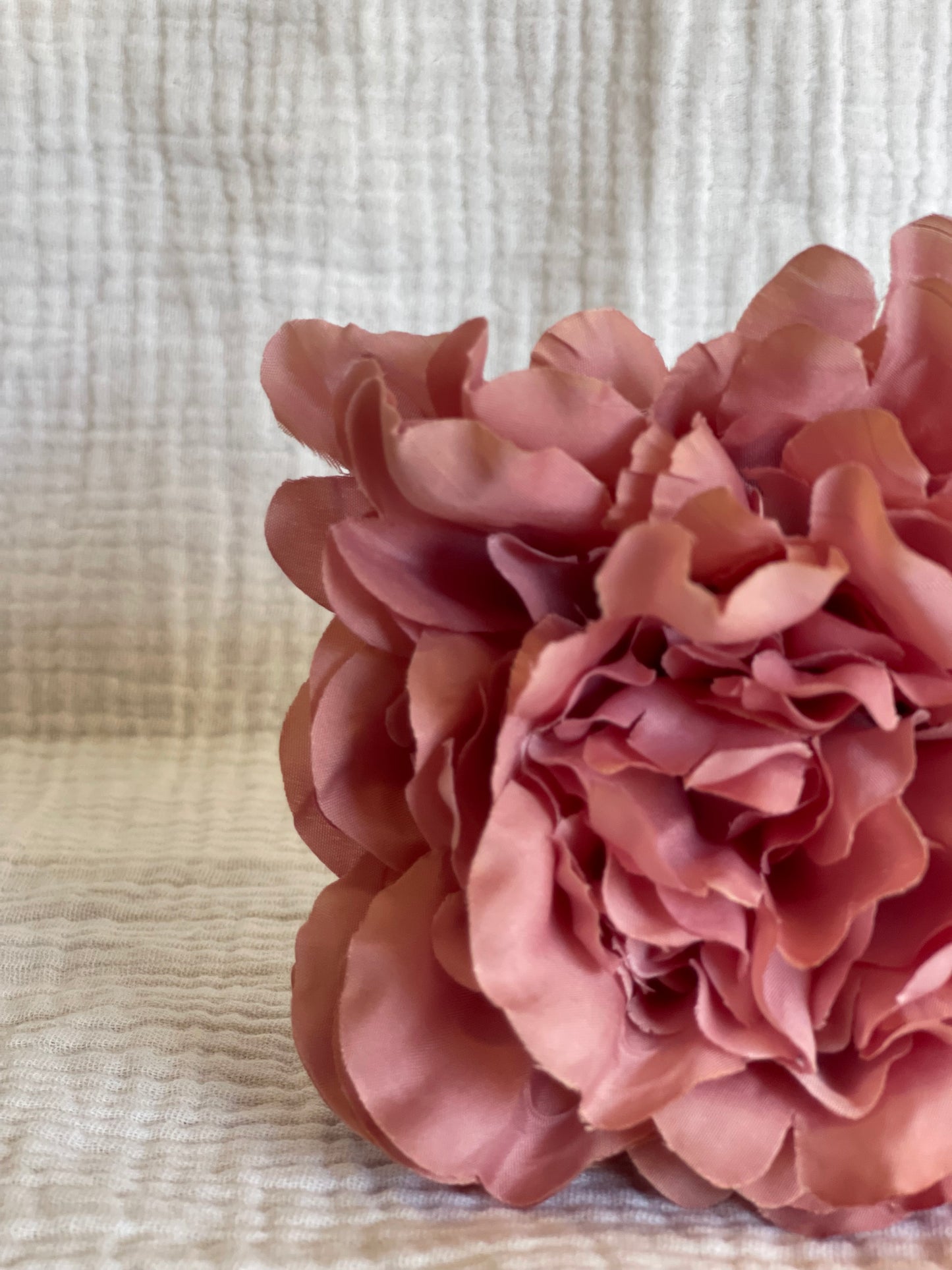Rosa Cádiz rosa maquillaje