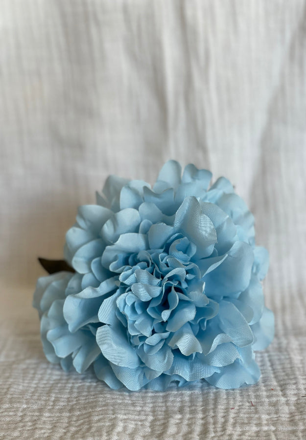 Rosa Cádiz azul cielo