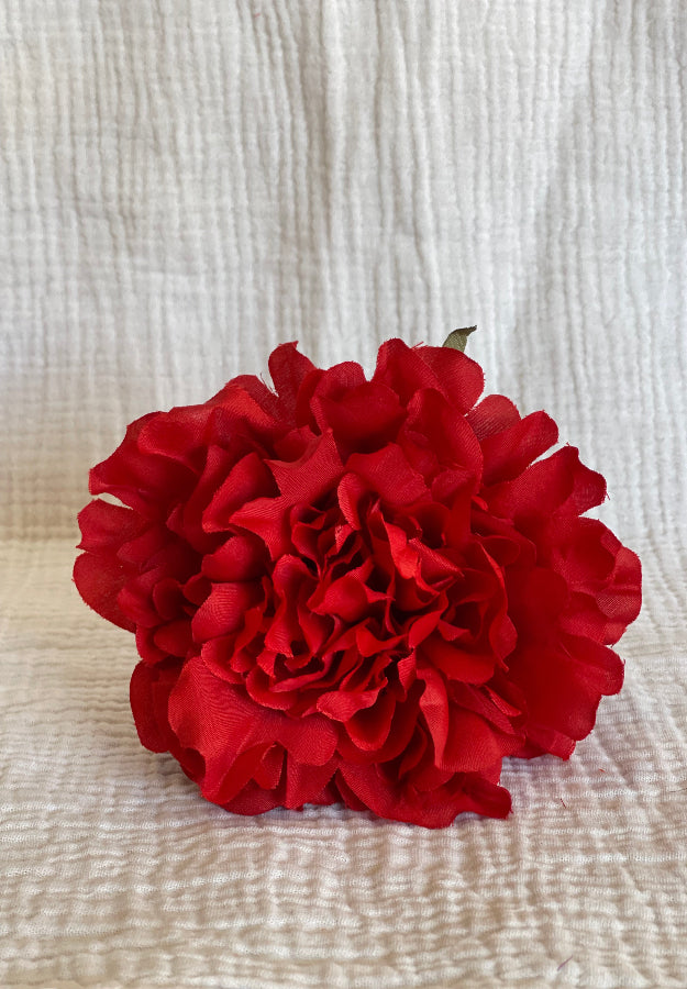 Rosa Cádiz roja