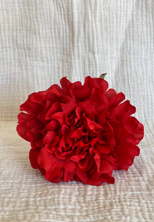 Rosa Cádiz roja