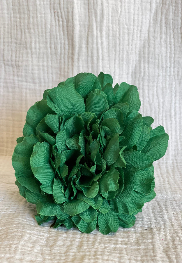 Rosa Cádiz verde