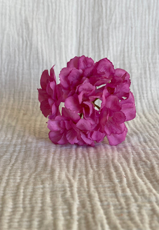 Cherry rosa